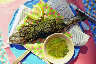 Grillierte Forelle im Weinblatt mit Dill-Kapern-Fenchelvinaigrette.jpg